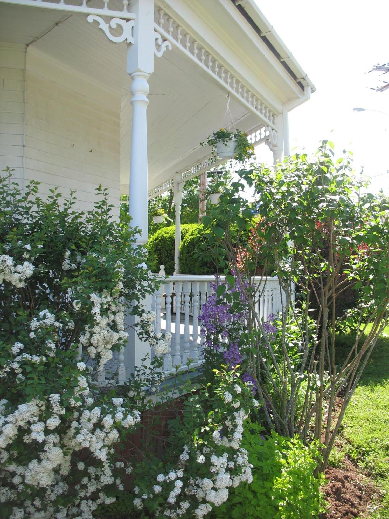 The Nelson House Bed And Breakfast Stewiacke Kültér fotó