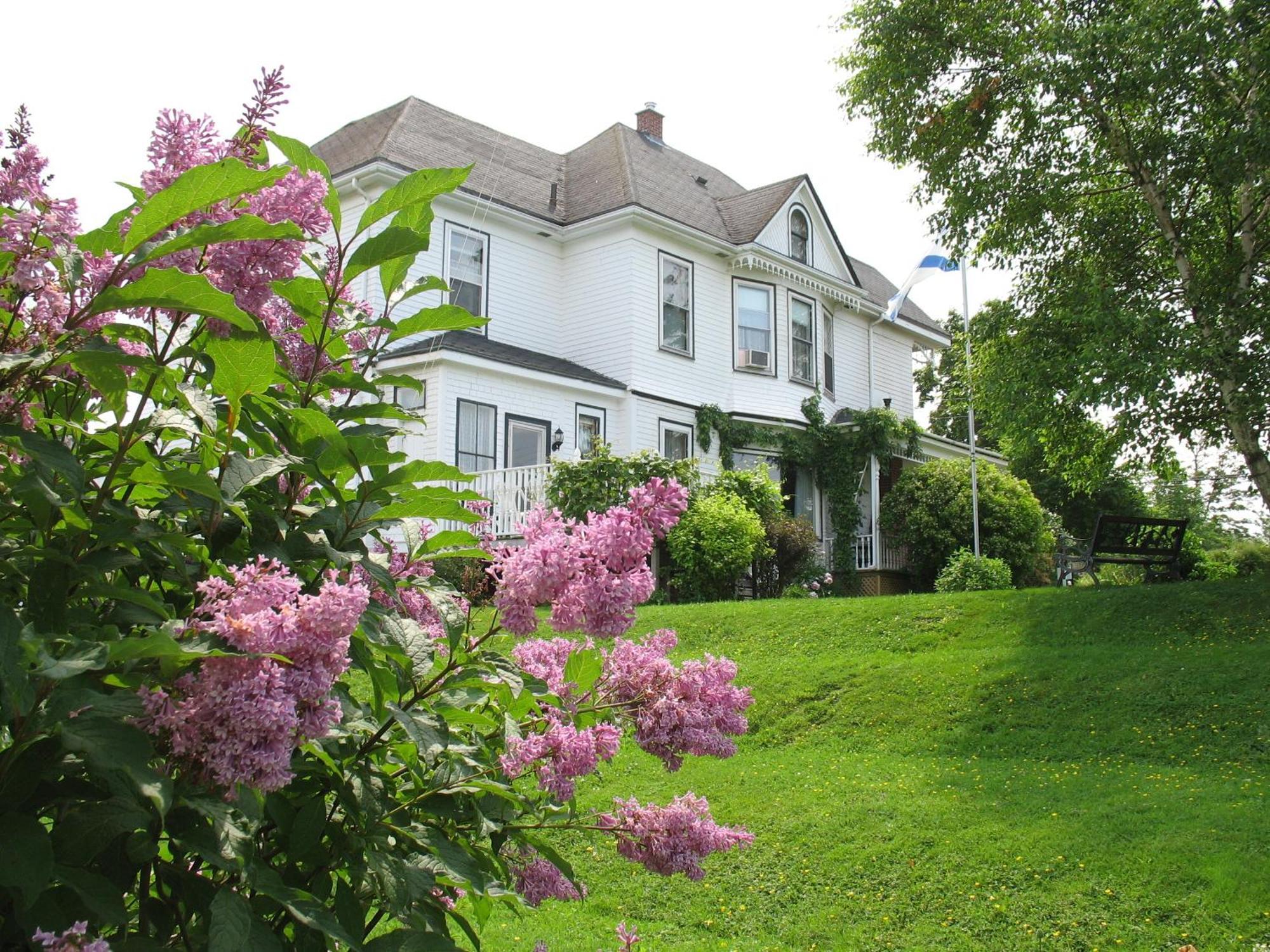 The Nelson House Bed And Breakfast Stewiacke Kültér fotó